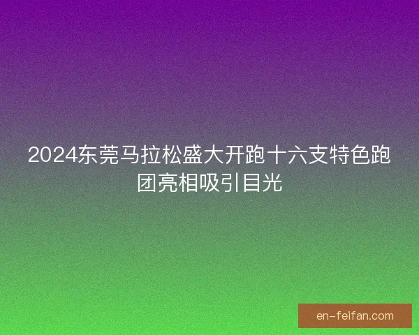 2024东莞马拉松盛大开跑十六支特色跑团亮相吸引目光